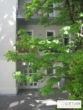 Sonnendurchflutetes 2-Zimmer-Stilaltbau-Apartment in Grünruhelage mit Gartenbenützung - Bild